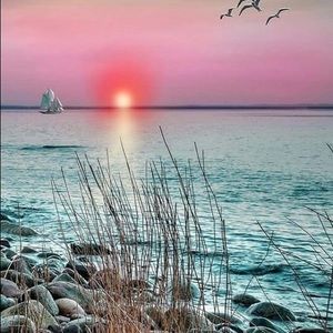 Meet your Posher, Nealy